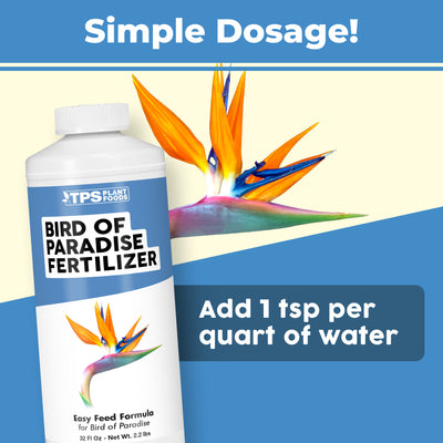 Bird of Paradise Fertilizer