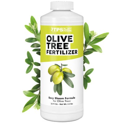 Olive Tree Fertilizer