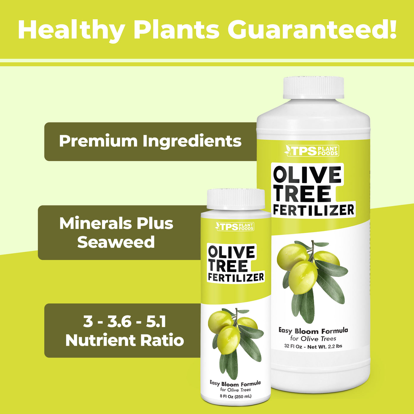 Olive Tree Fertilizer