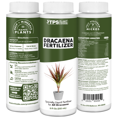 Dracaena Fertilizer