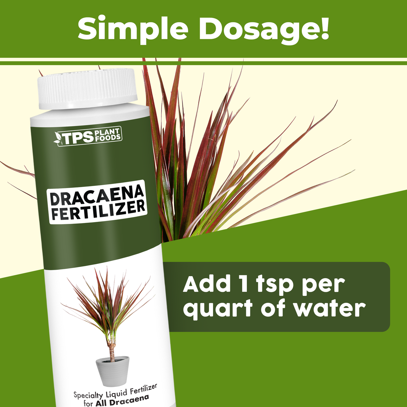 Dracaena Fertilizer