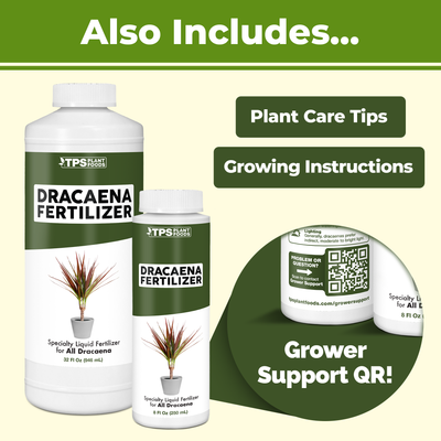 Dracaena Fertilizer