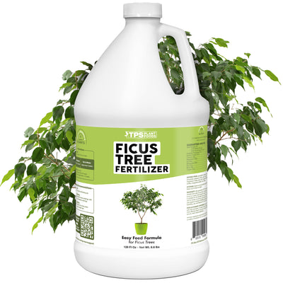 Ficus Fertilizer