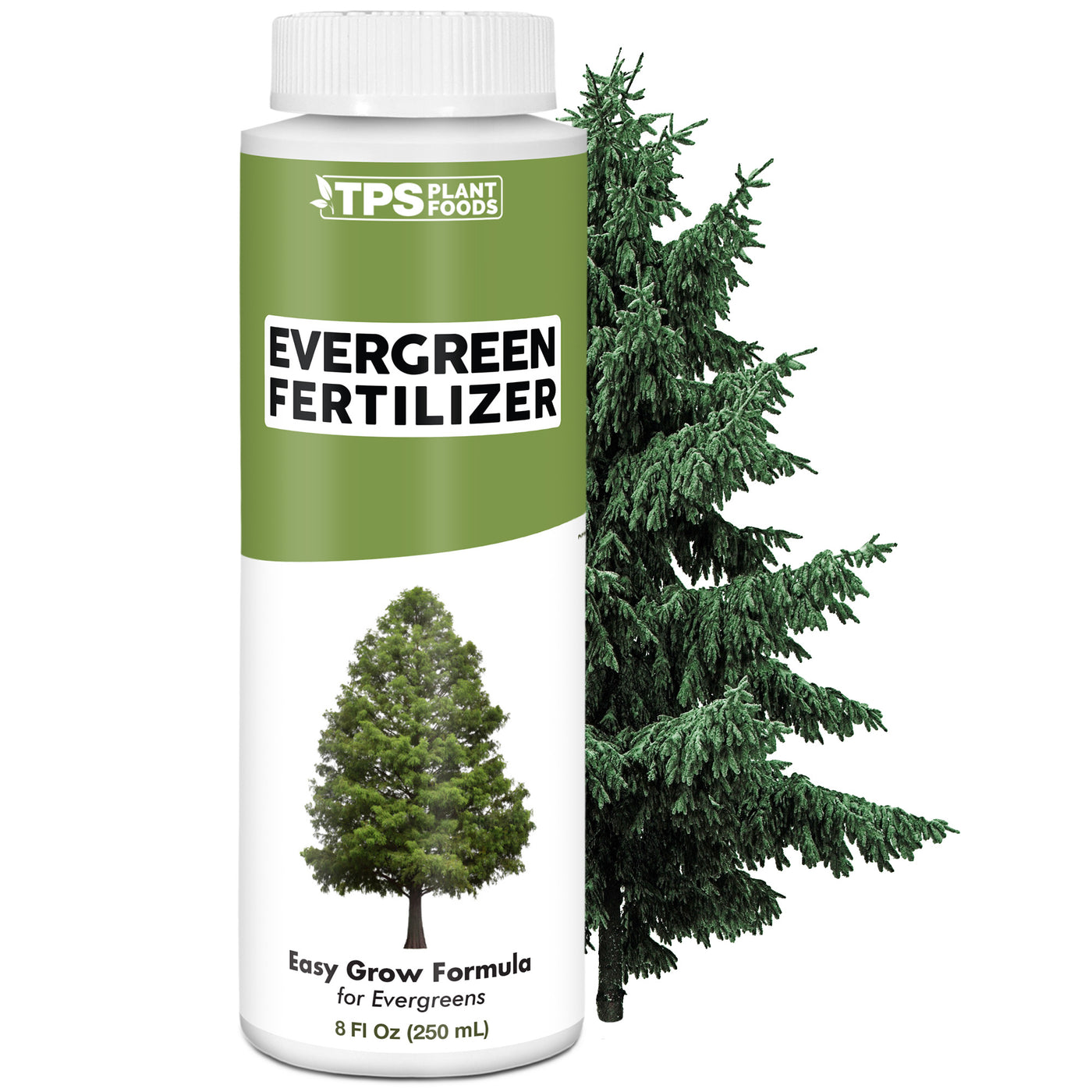 Evergreen Fertilizer