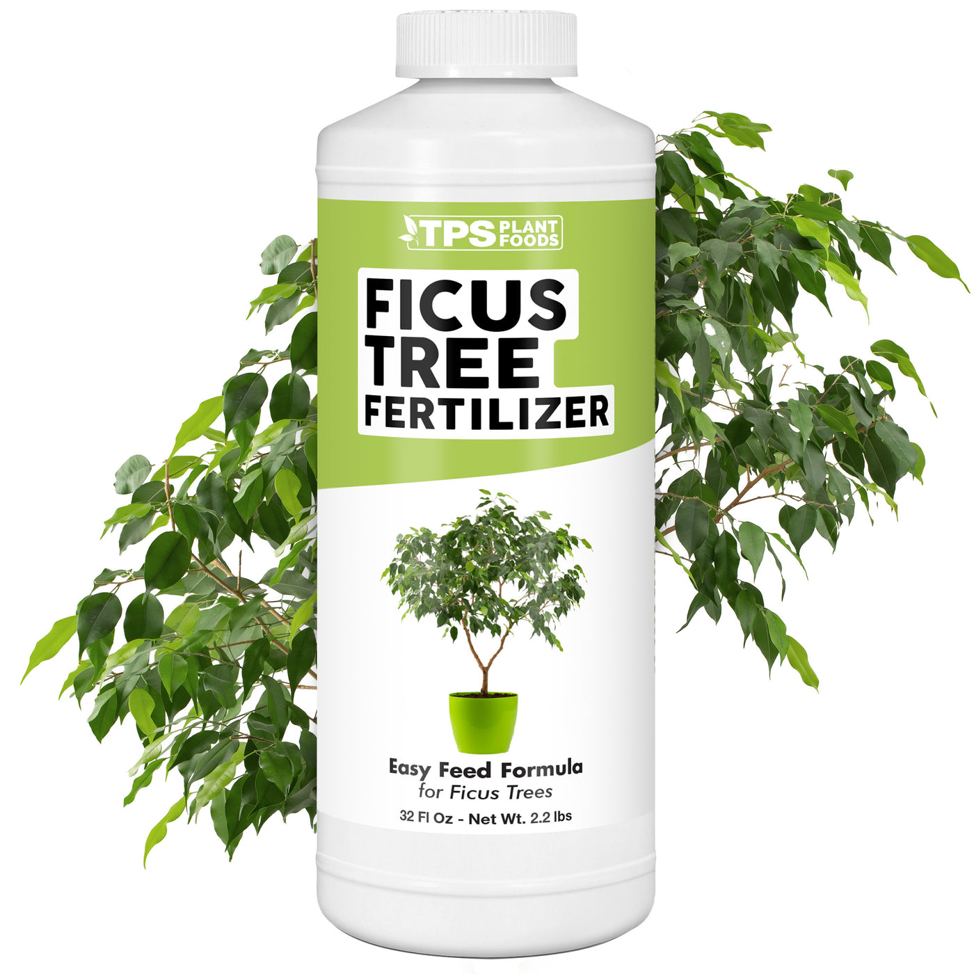 Ficus Fertilizer