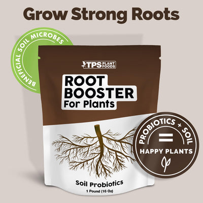 Root Booster for Plants