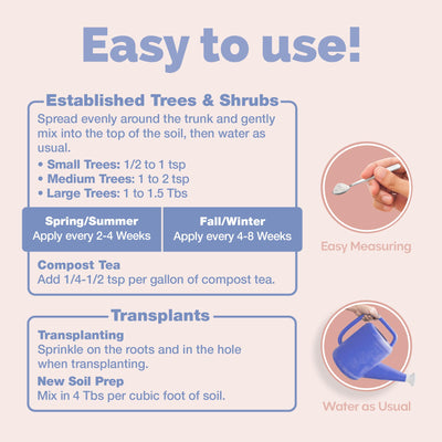 Mycorrhizal Fungi for Palm Trees