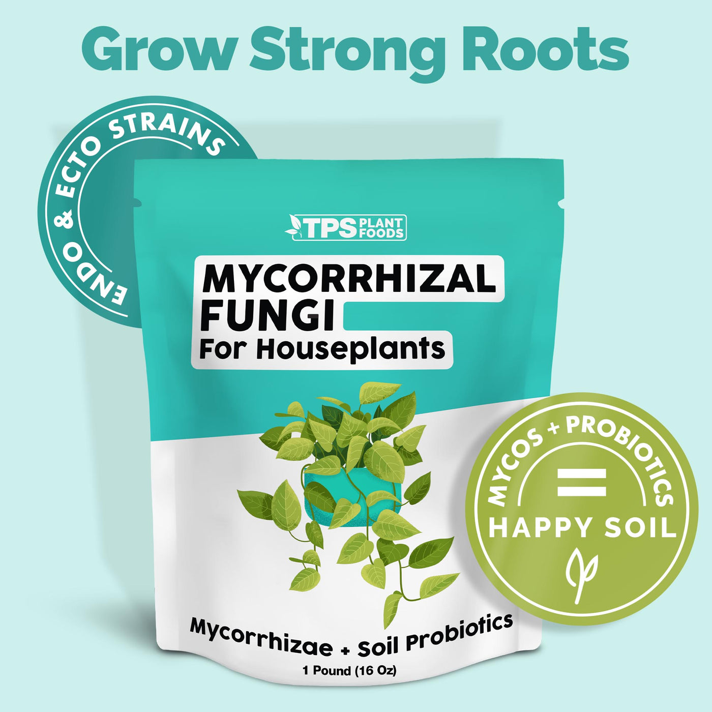 Mycorrhizal Fungi for Houseplants