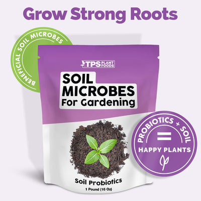 Soil Microbes for Gardening