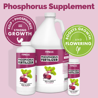 Phosphorus Fertilizer