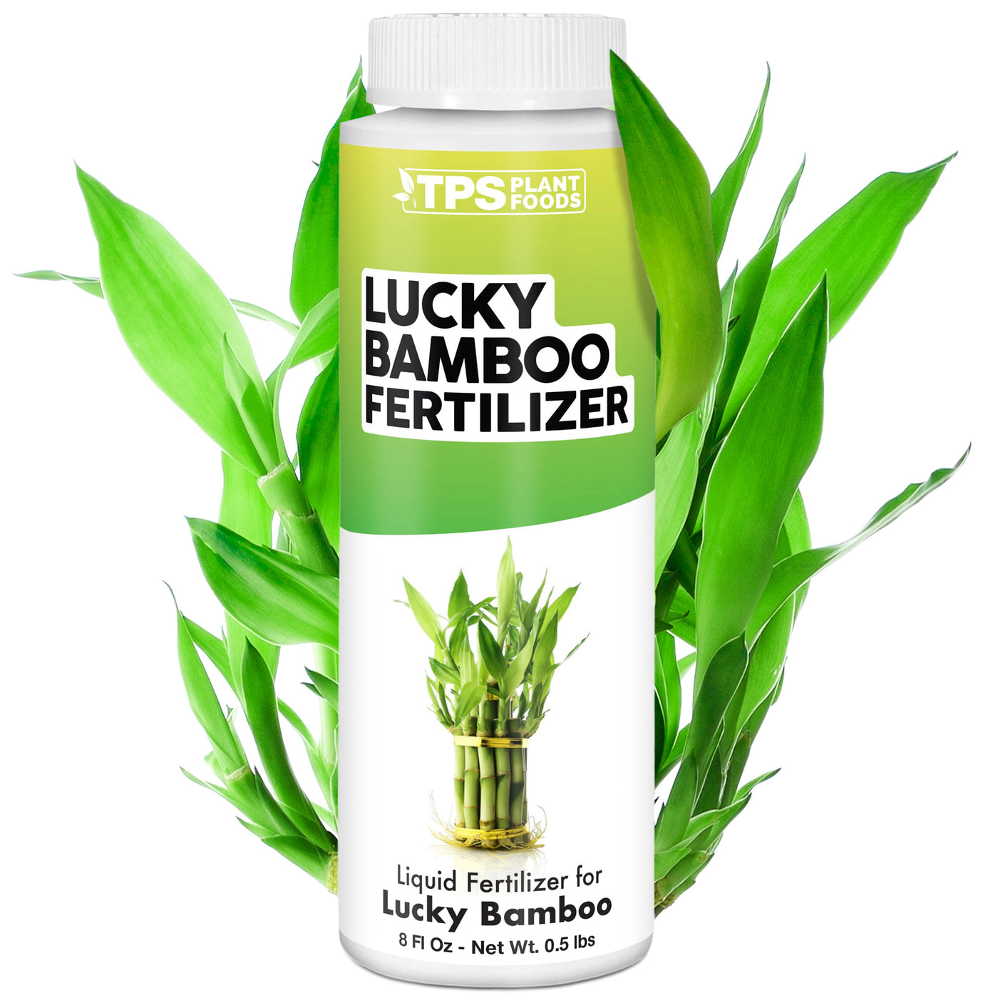 Lucky Bamboo Fertilizer