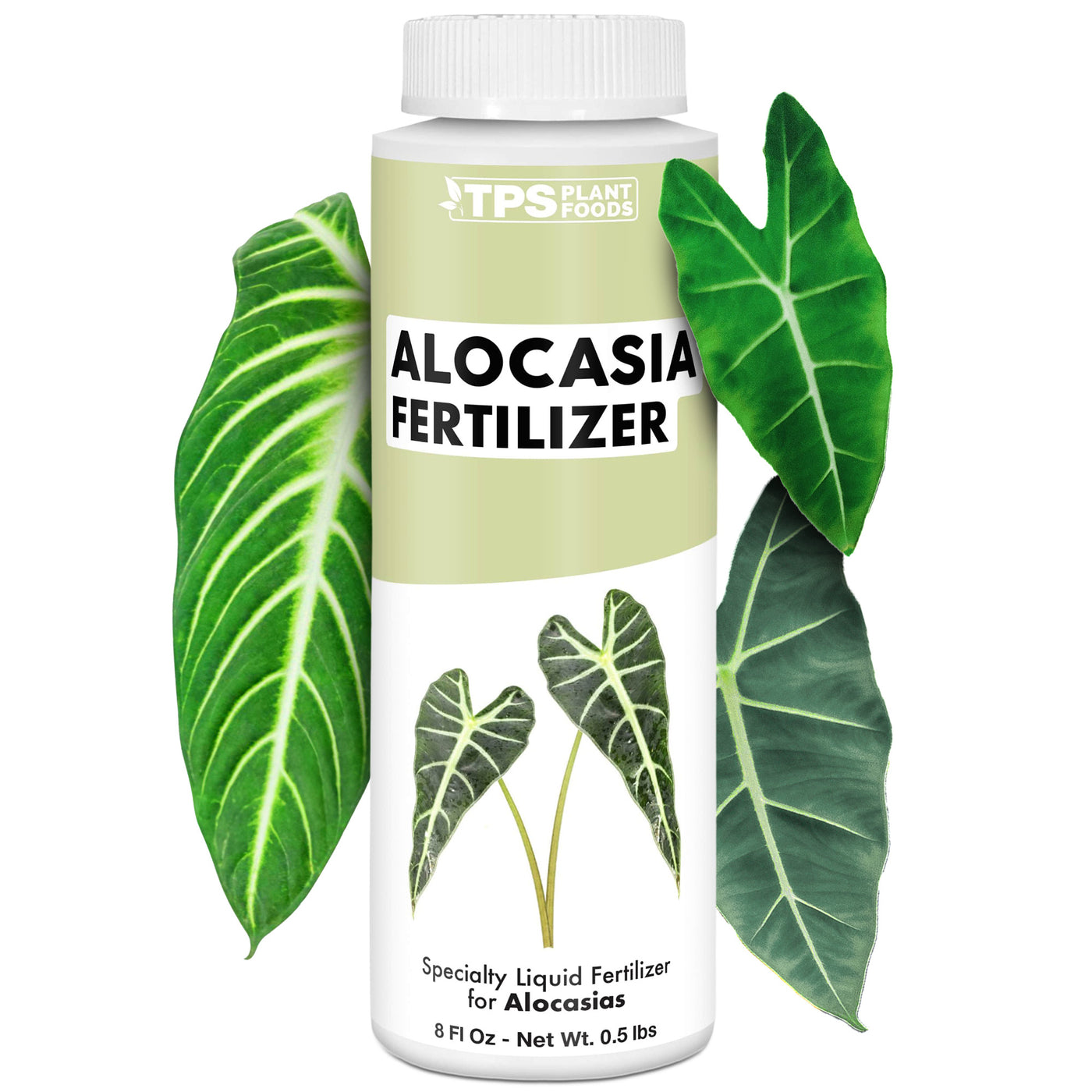 Alocasia Fertilizer