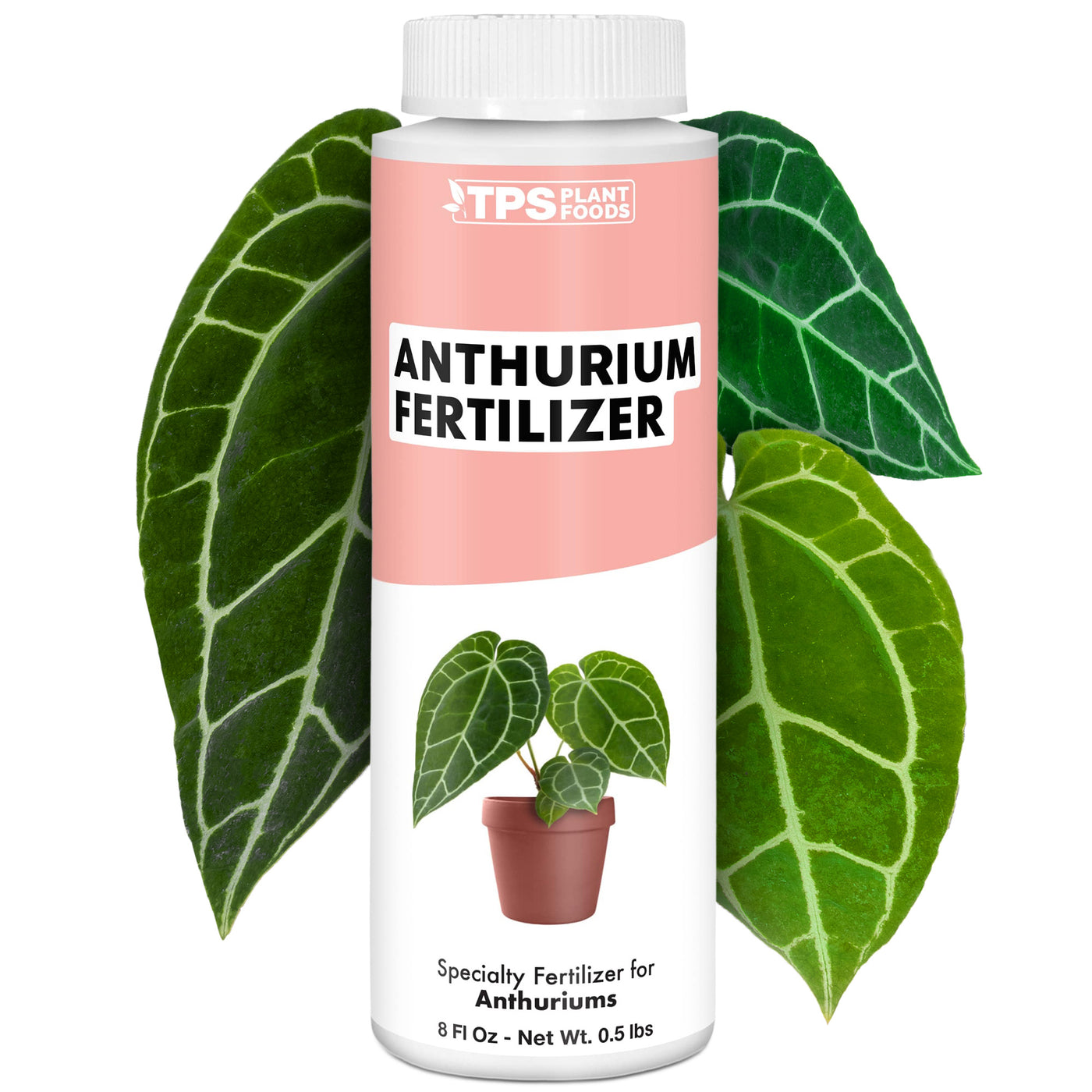 Anthurium Fertilizer