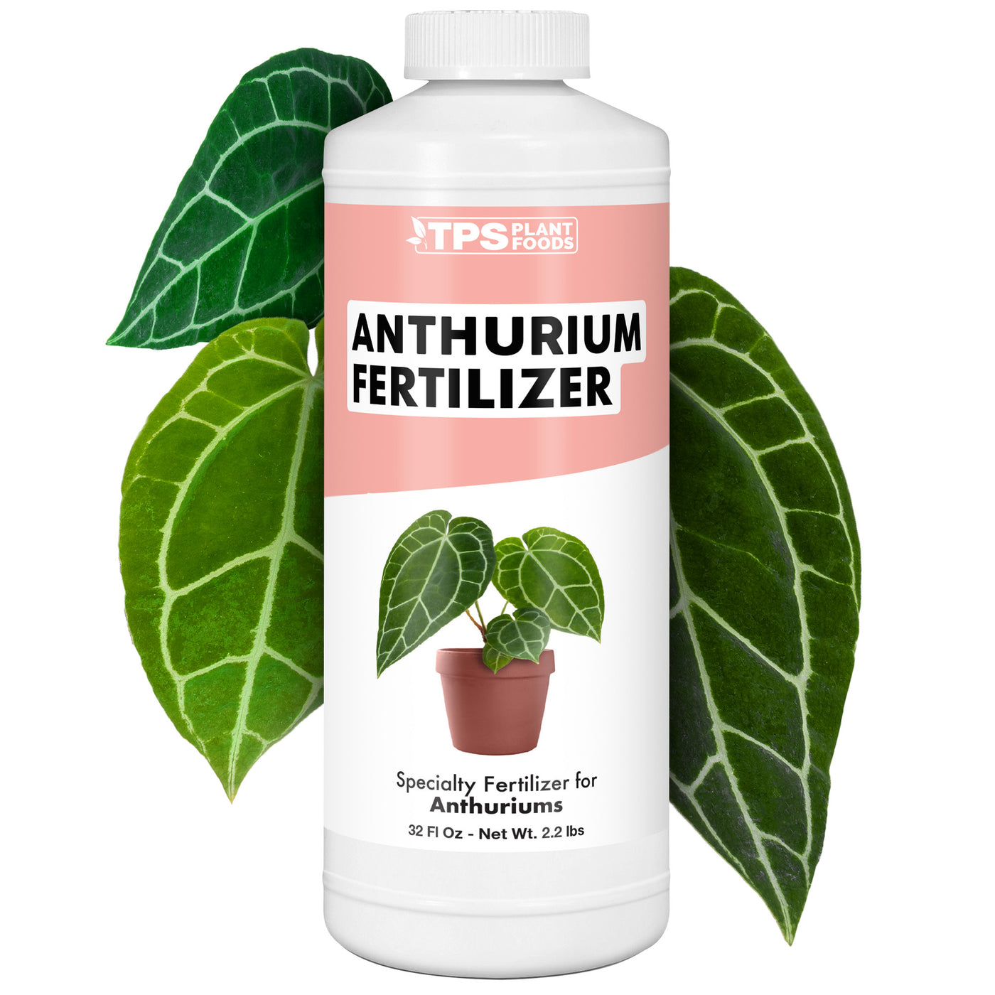 Anthurium Fertilizer