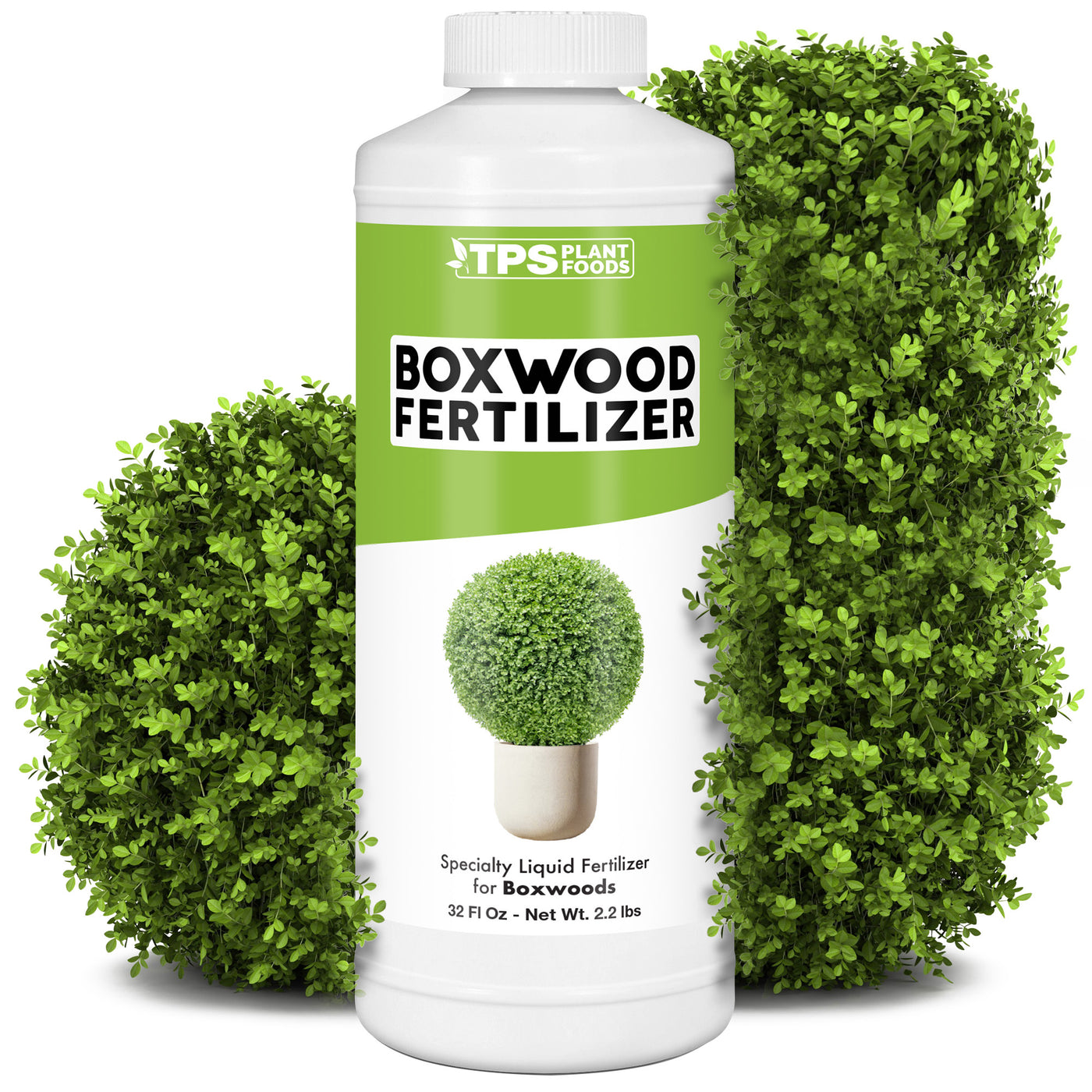 Boxwood Fertilizer