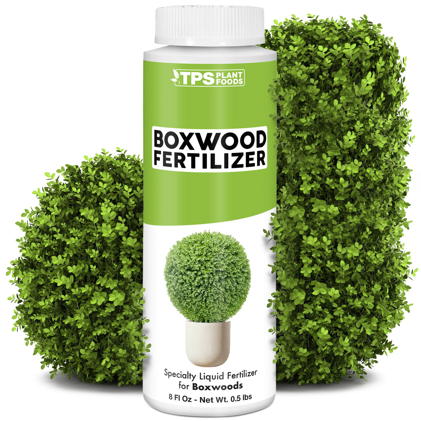 Boxwood Fertilizer