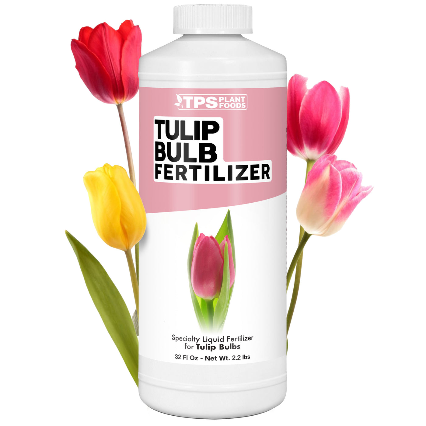 Tulip Bulb Fertilizer