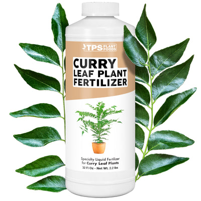 Curry Leaf Plant Fertilizer