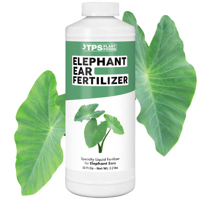 Elephant Ear Fertilizer