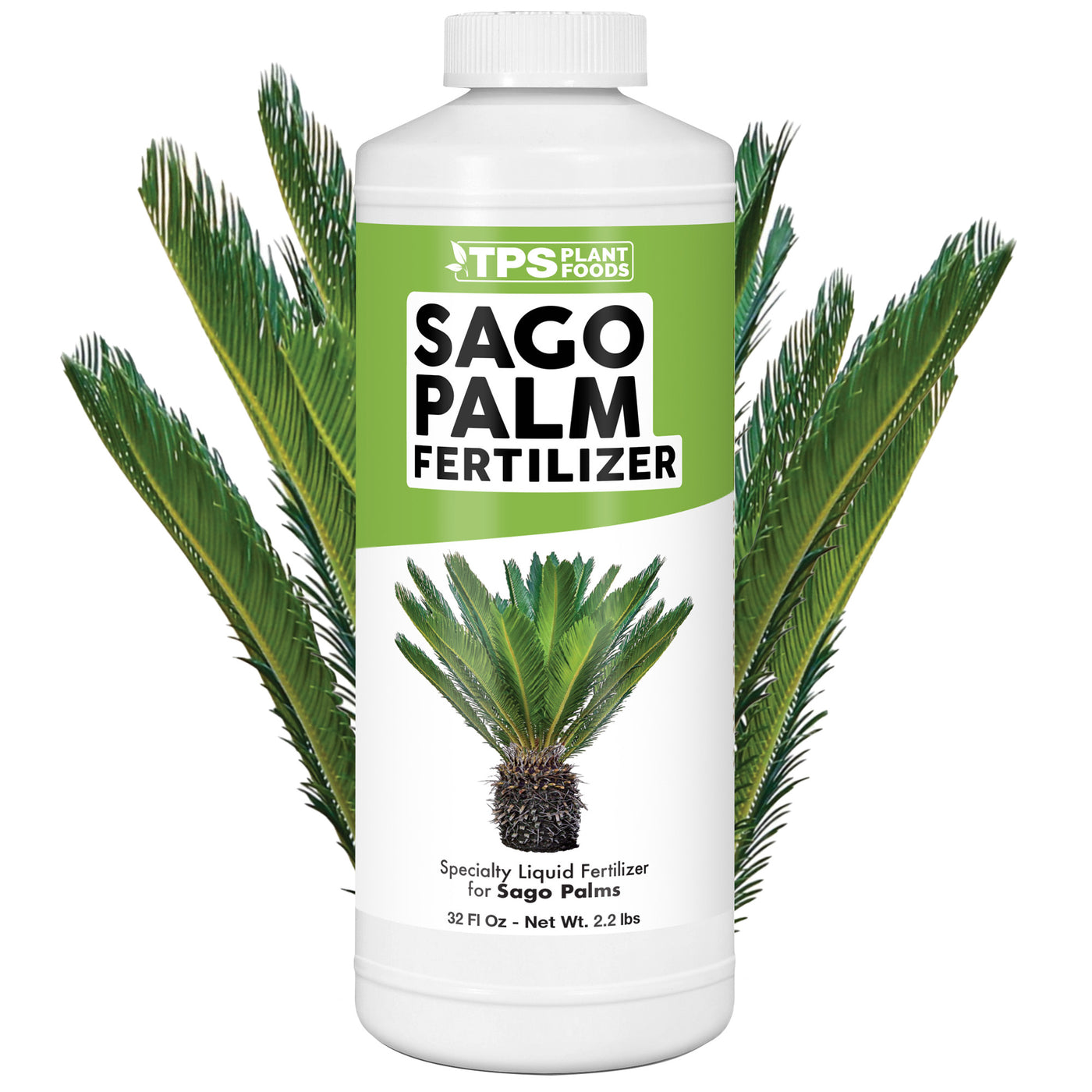 Sago Palm Fertilizer