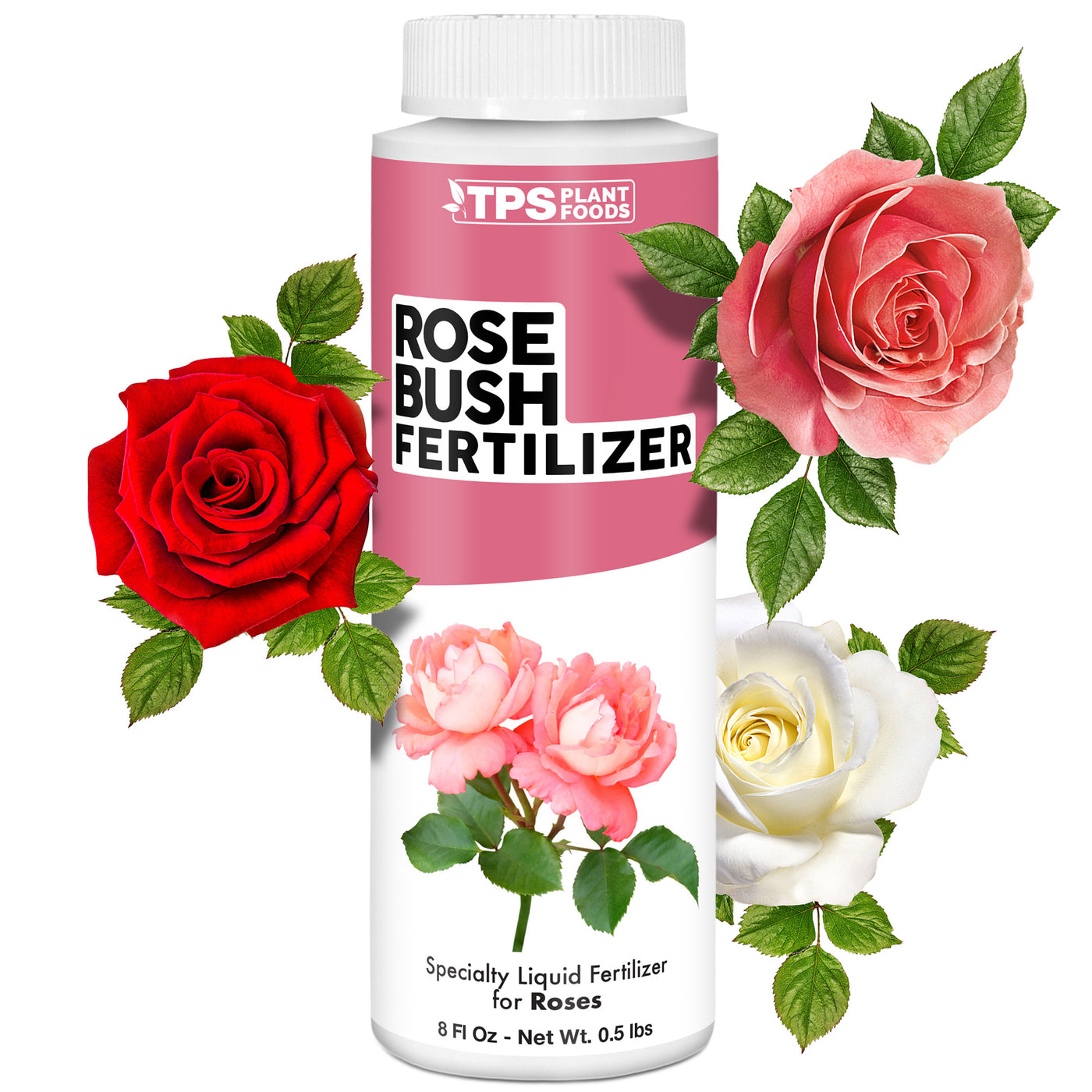 Rose Bush Fertilizer