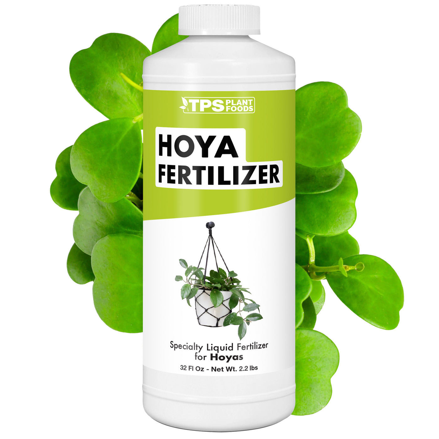 Hoya Fertilizer