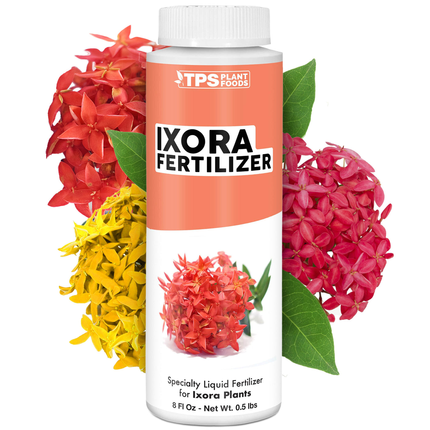 Ixora Fertilizer