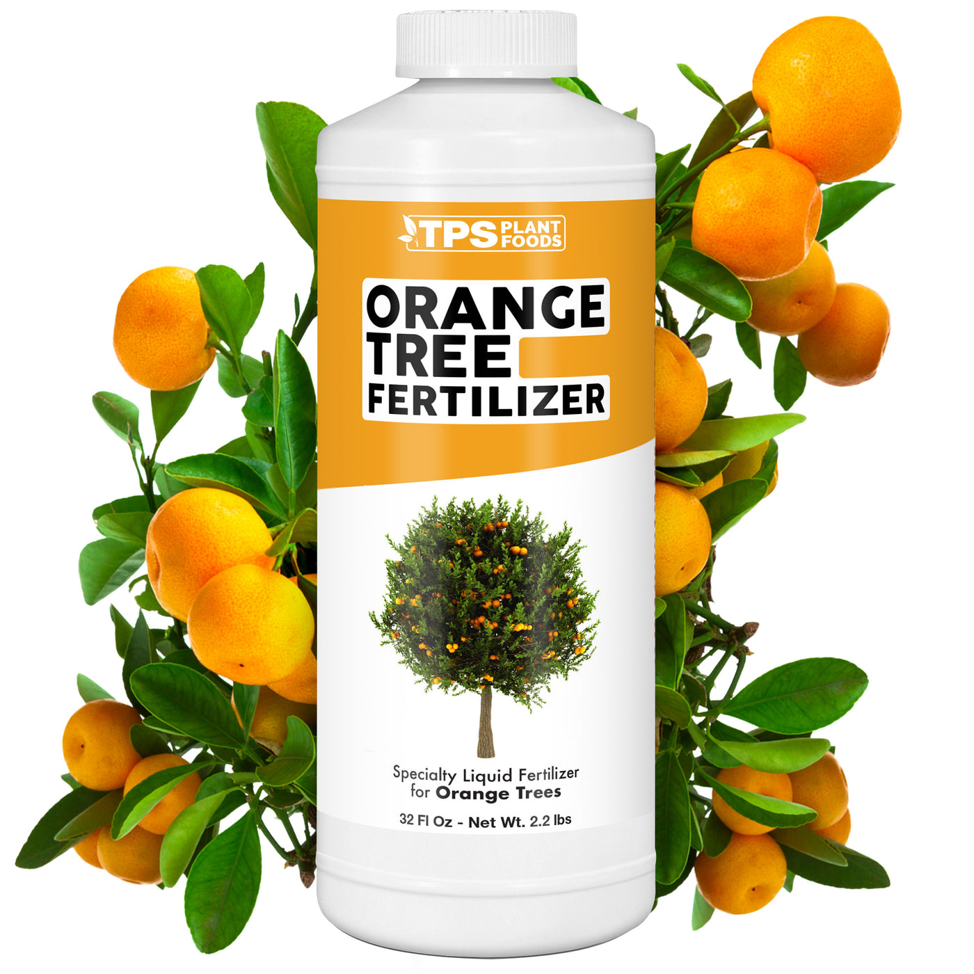 Orange Tree Fertilizer