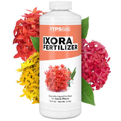 Ixora Fertilizer