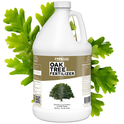 Oak Tree Fertilizer