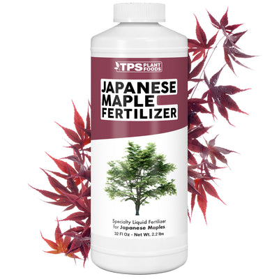 Japanese Maple Fertilizer