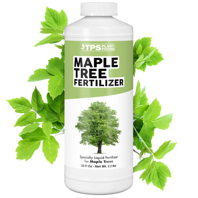 Maple Tree Fertilizer