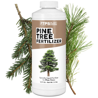 Pine Tree Fertilizer