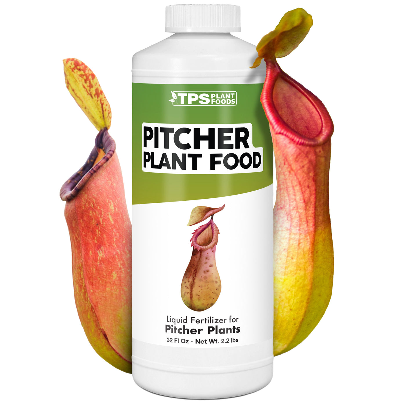 Pitcher Plant Food