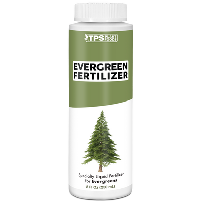 Evergreen Fertilizer