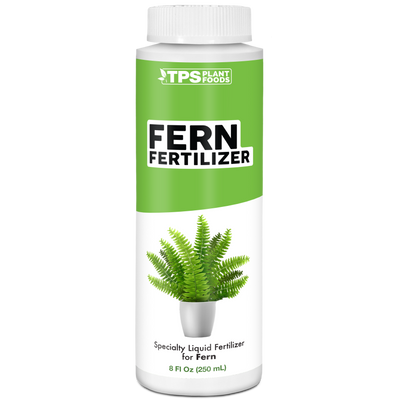 Fern Fertilizer
