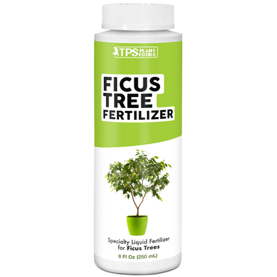 Ficus Fertilizer