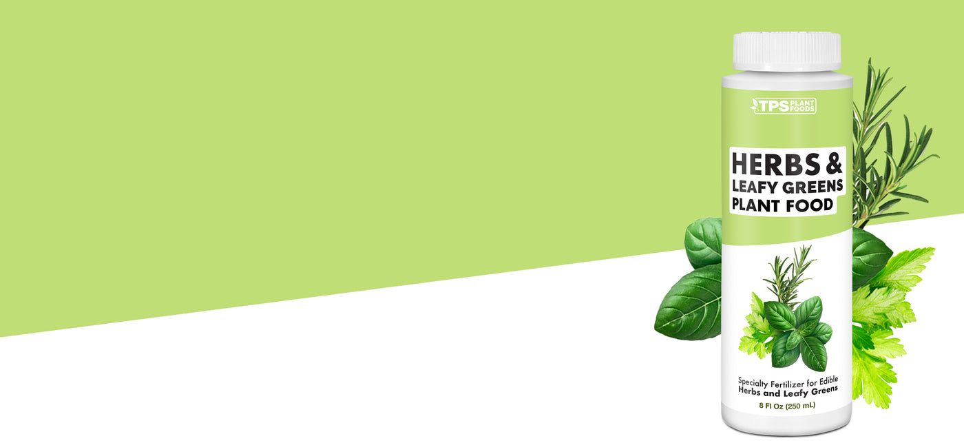 Herbs and Leafy Greens Plant Food TPS Nutrients