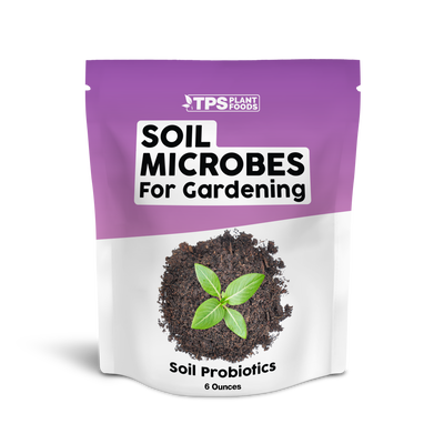 Soil Microbes for Gardening