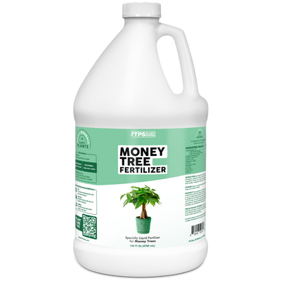 Money Tree Fertilizer