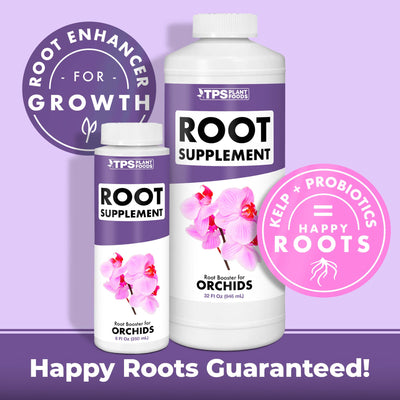 Orchid Root Supplement