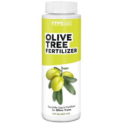Olive Tree Fertilizer