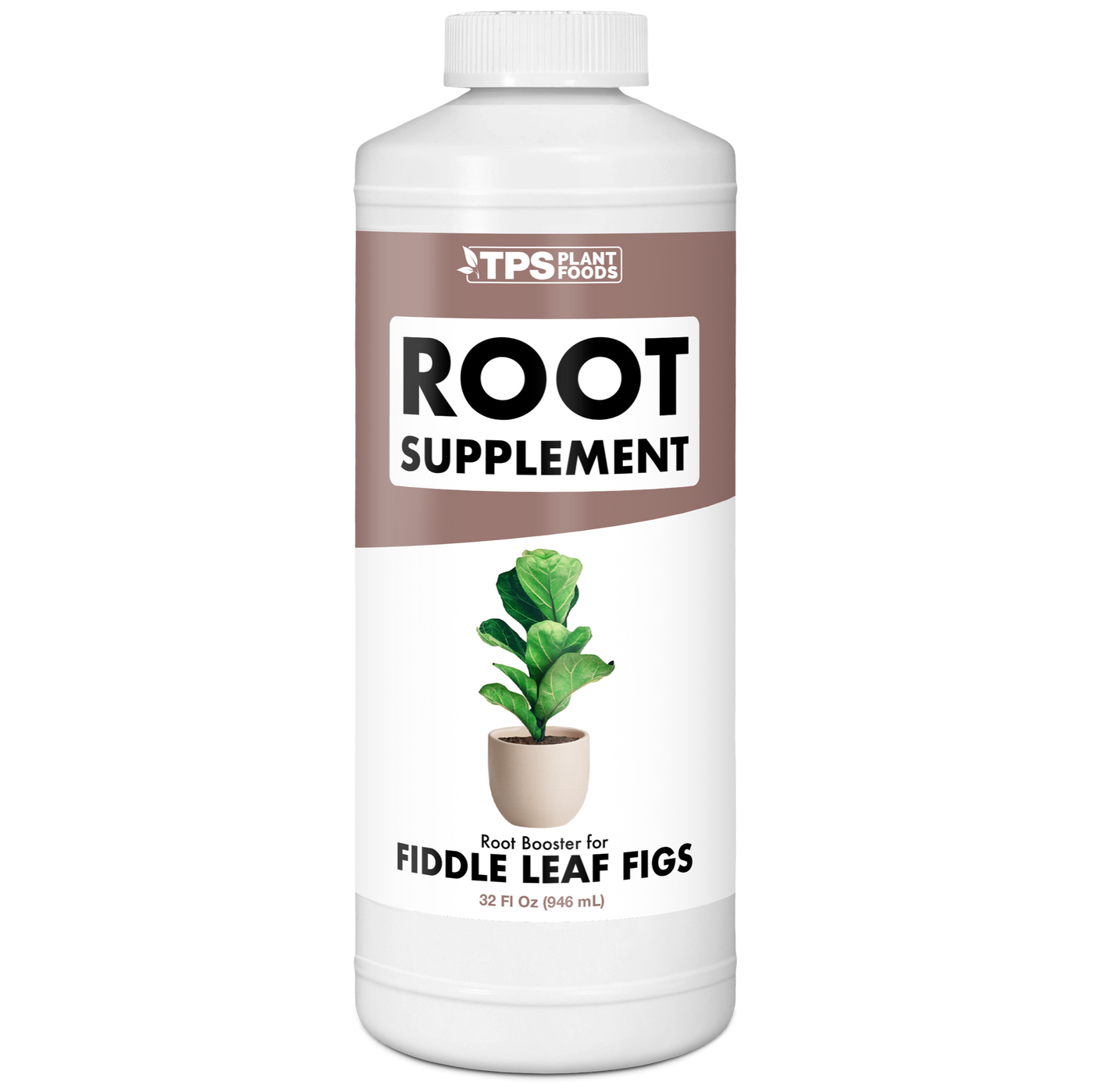 Fig Root Supplement