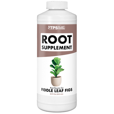 Fig Root Supplement