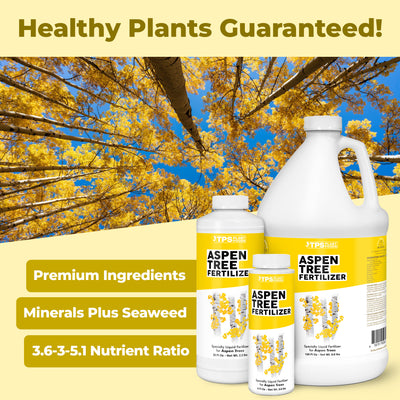 Aspen Tree Fertilizer