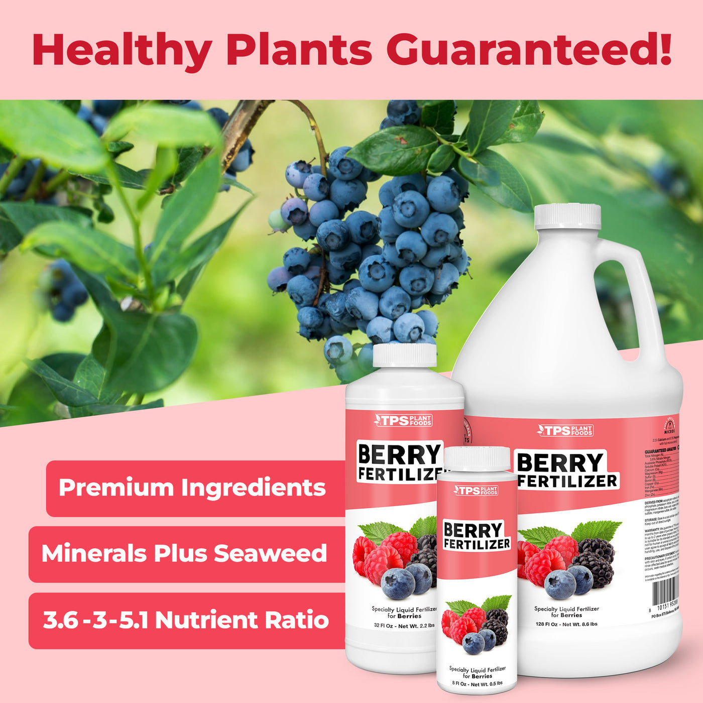 Berry Fertilizer