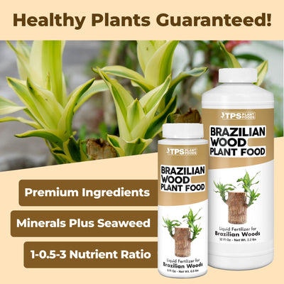 Brazilian Wood Plant Food