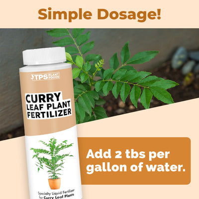 Curry Leaf Plant Fertilizer