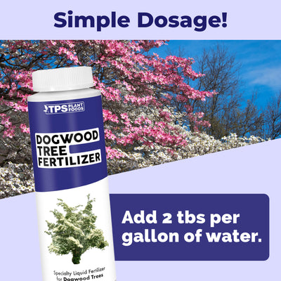 Dogwood Tree Fertilizer