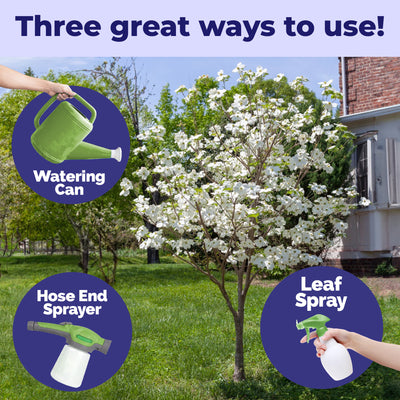 Dogwood Tree Fertilizer